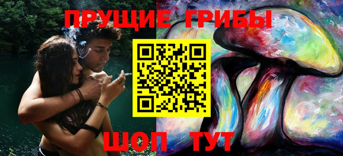 Куйбышев  Псилоцибиновые грибы ЛСД  Вход с VPN 